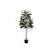 Monarch Specialties Artificial Plant, 52" Tall, Rubber Tree, Indoor, Faux, Fake, Floor, Greenery, Potted, Real Touch I 9514 - alternate 1